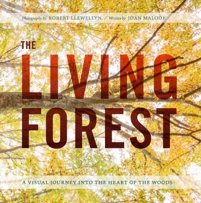 The living forest : a visual journey into the heart of the woods / photography by Robert Llewellyn ; written by Joan Maloof.
