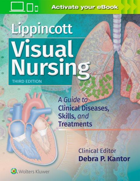Lippincott visual nursing : a guide to diseases, skills, and treatments / Debra P. Kantor.