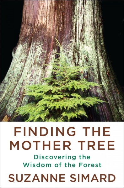 Finding the mother tree : discovering the wisdom of the forest / Suzanne Simard.