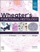 Go to record Wheater's functional histology : a text and colour atlas